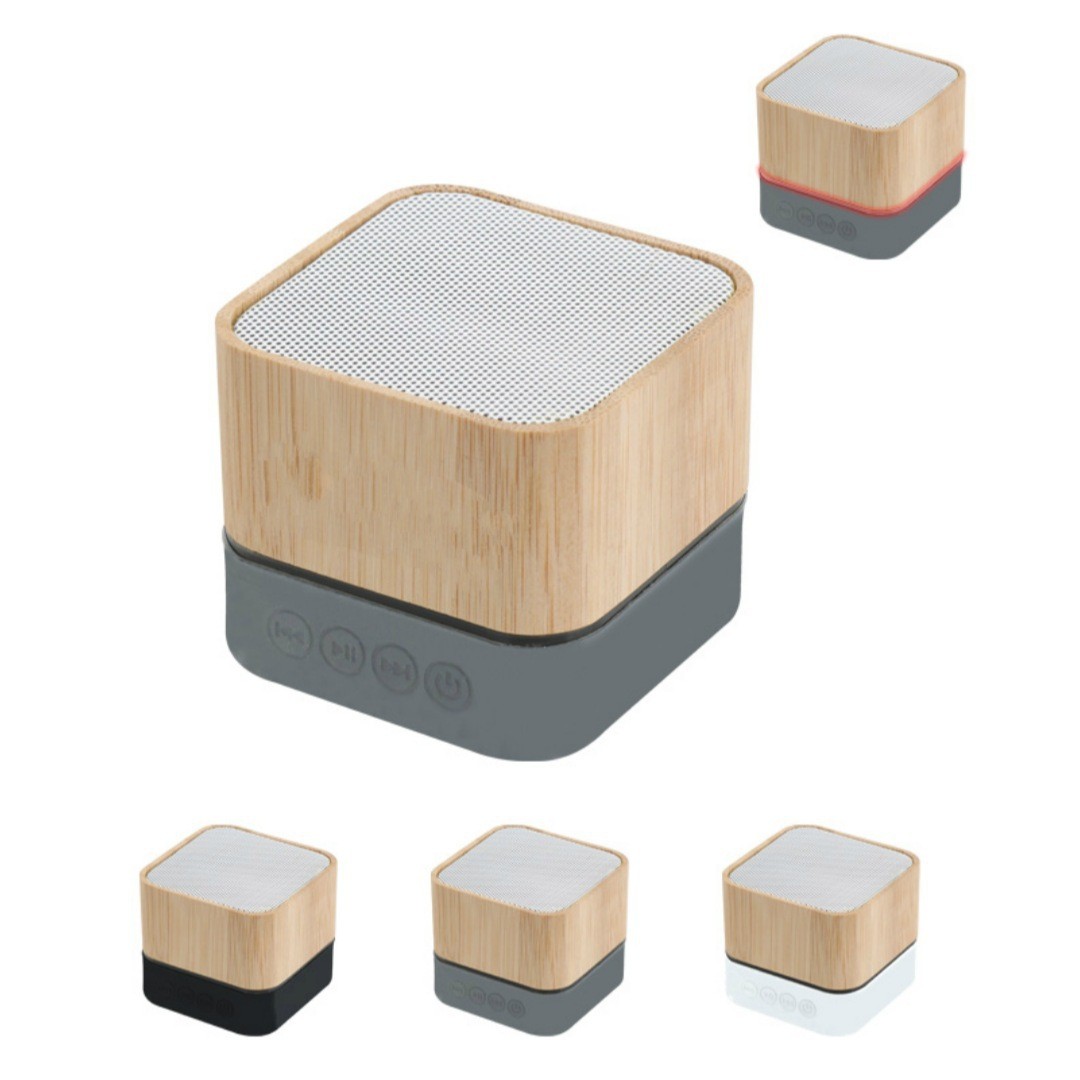 cactus lab Cactus set
